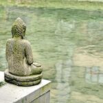 What are meditation techniques involving Zen