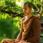 Zen and the history of self development